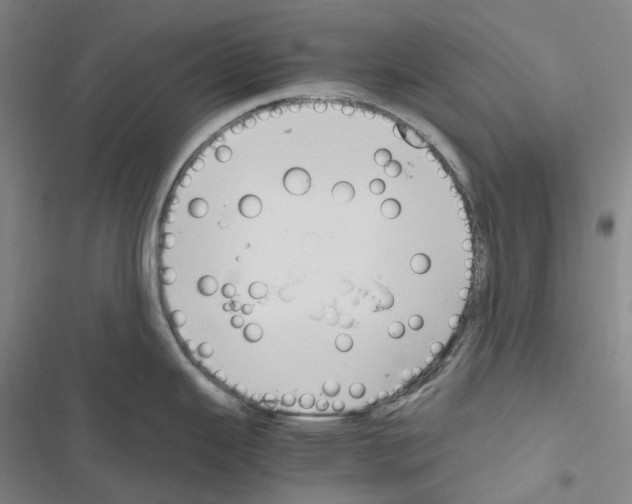 X0000116681343201001251252