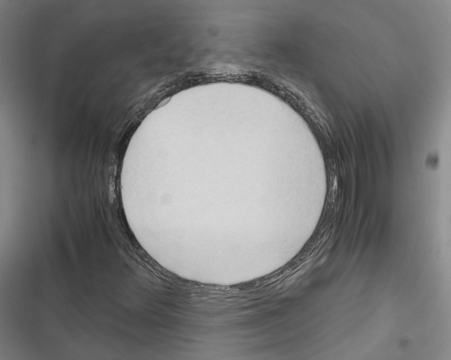 X0000116681348201001251251