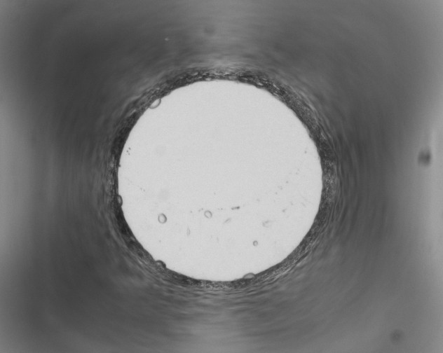 X0000116681349201001251251