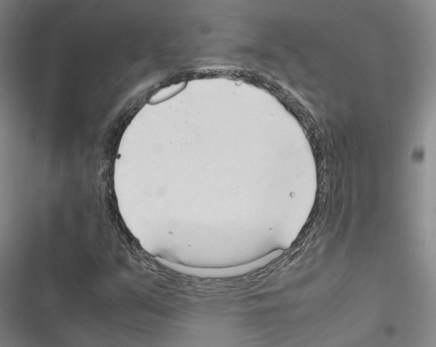 X0000116681351201001251251