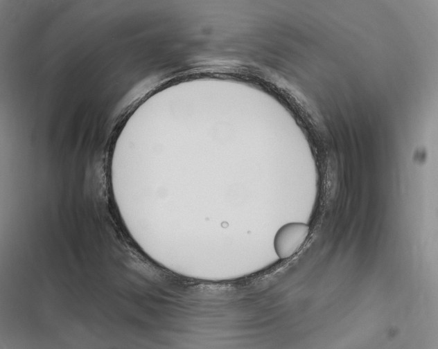 X0000116681354201001251251