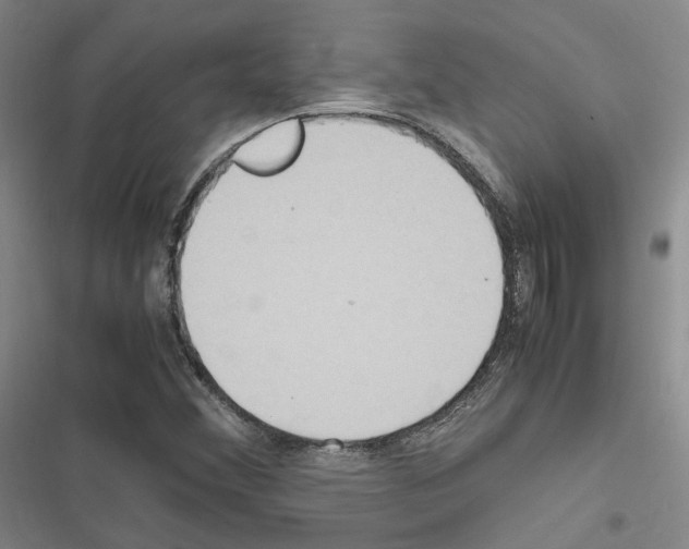 X0000116681356201001251251