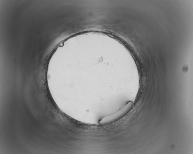 X0000116681359201001251251