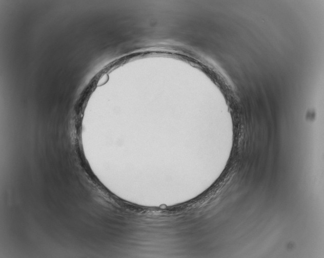 X0000116681360201001251251