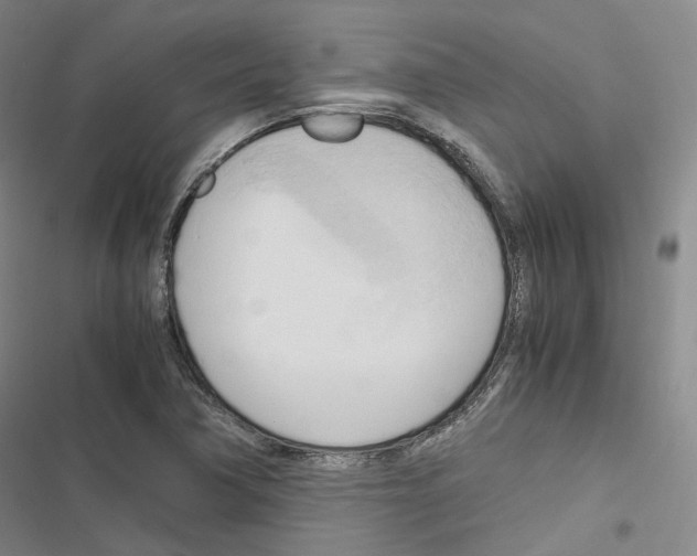 X0000116681362201001251251