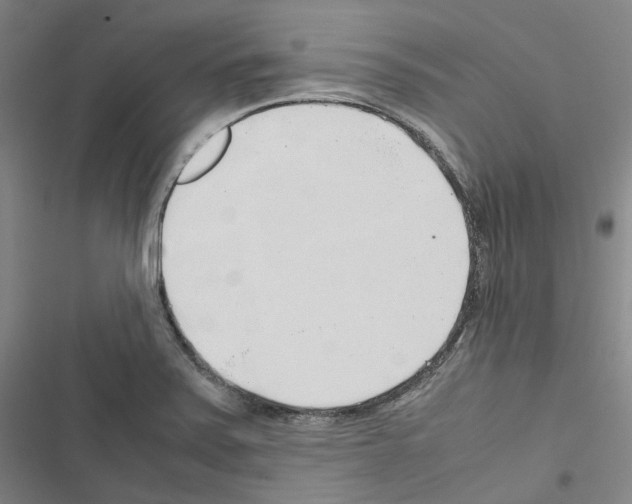 X0000116681371201001251251