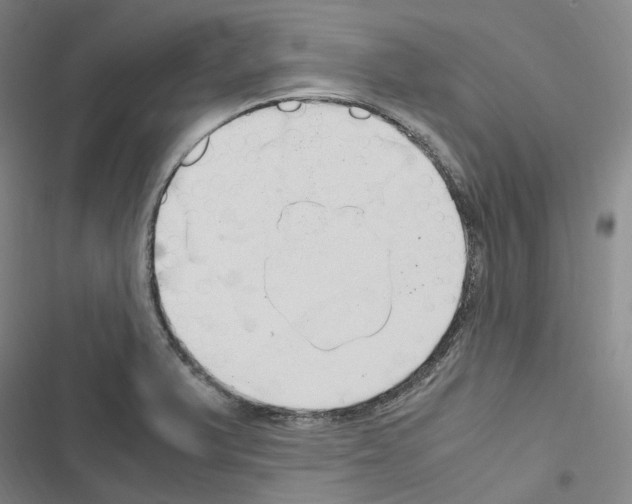 X0000116681375201001251251