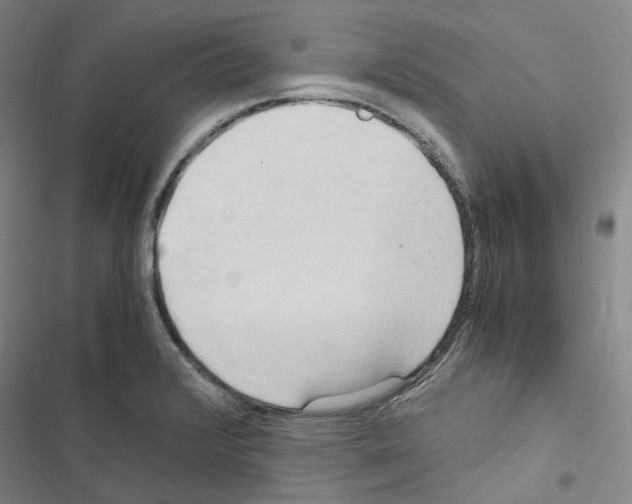 X0000116681376201001251251