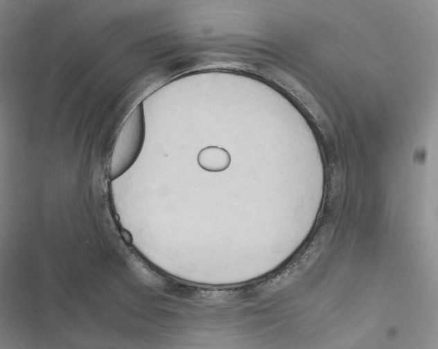 X0000116681377201001251251