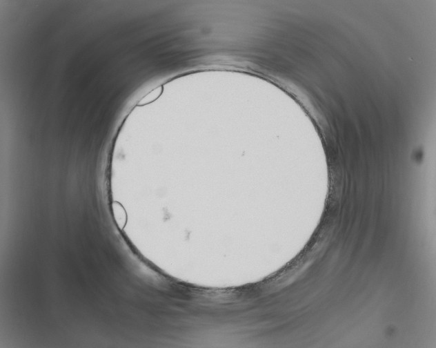 X0000116681387201001251251