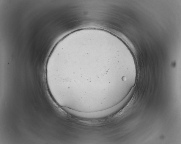 X0000116681388201001251250