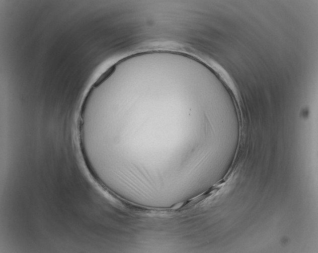 X0000116681389201001251250