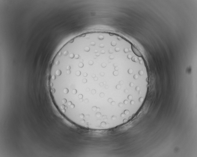 X0000116681390201001251250