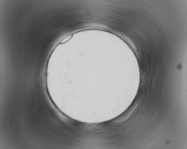 X0000116681391201001251250