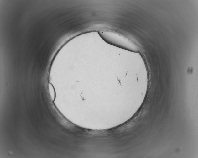 X0000116681392201001251250