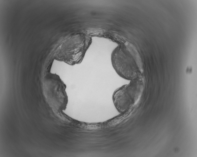 X0000116681393201001251250