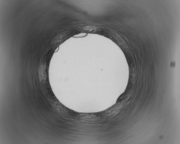 X0000116681394201001251250