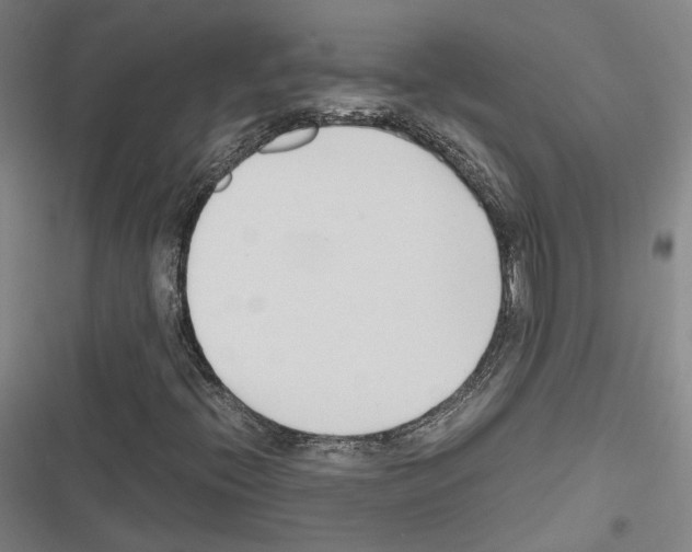 X0000116681396201001251250