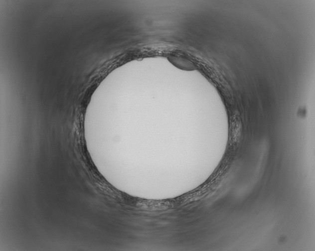 X0000116681397201001251250