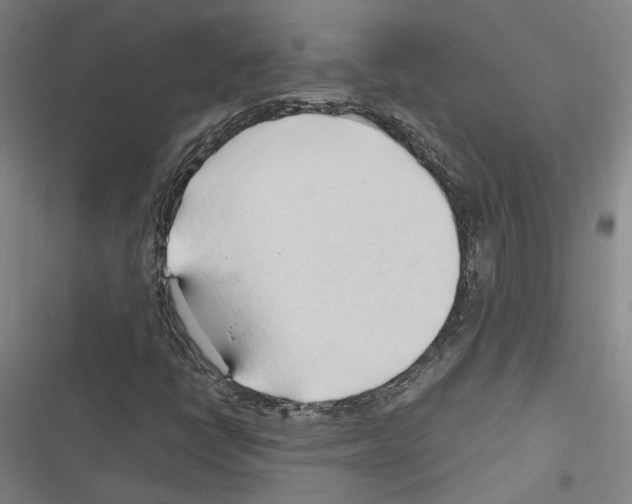 X0000116681398201001251250