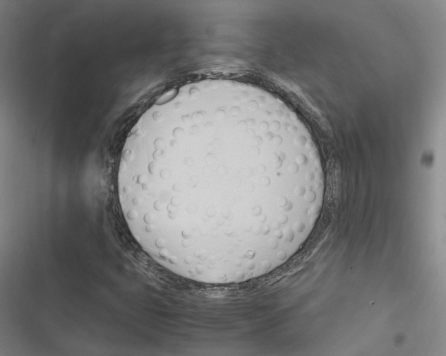 X0000116681399201001251250