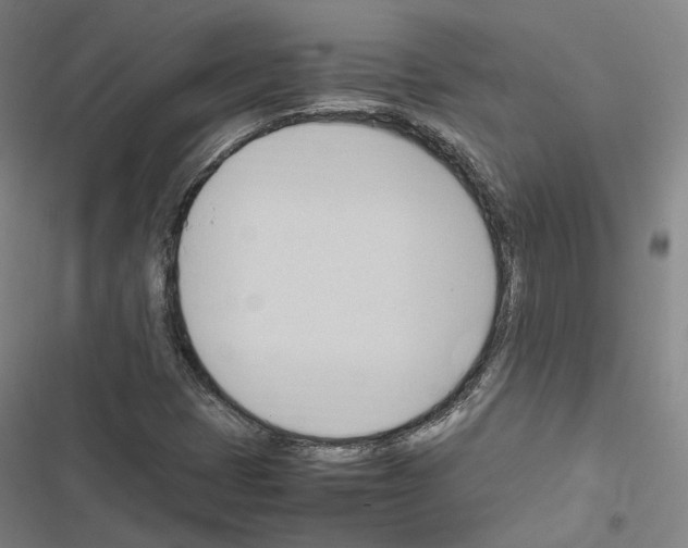 X0000116681401201001251250