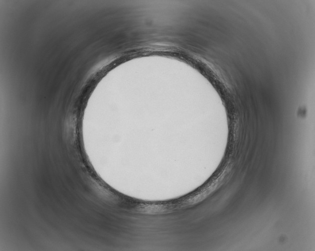 X0000116681402201001251250