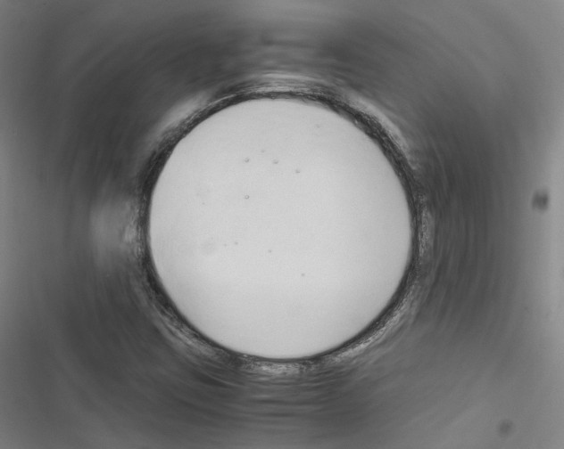 X0000116681403201001251250