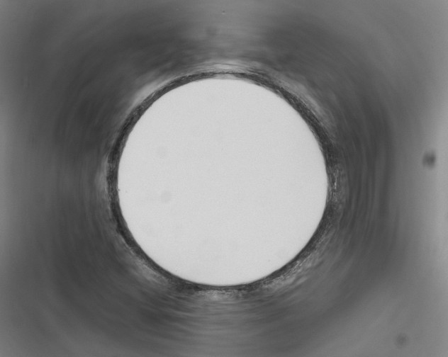 X0000116681404201001251250