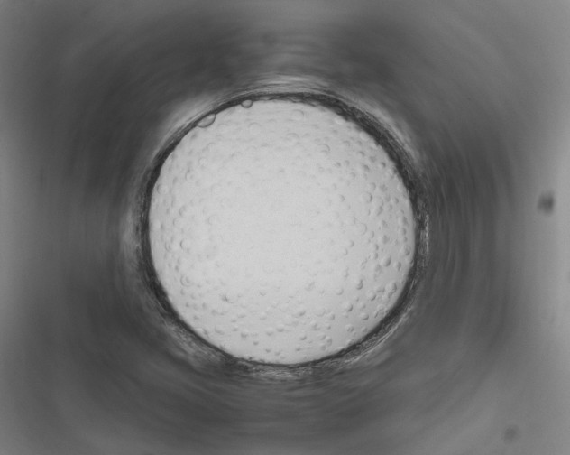 X0000116681405201001251250