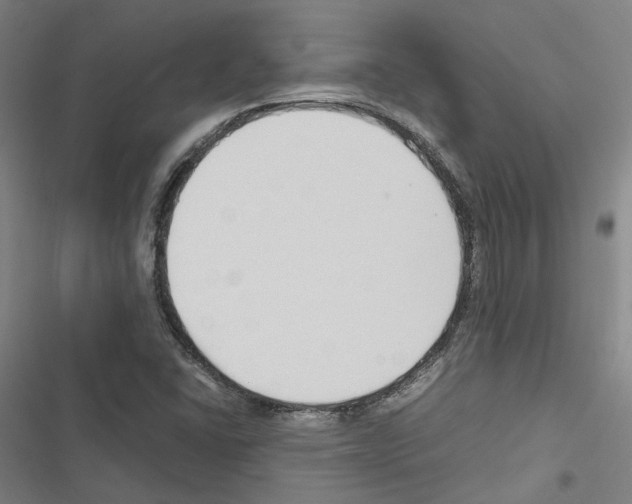 X0000116681406201001251250