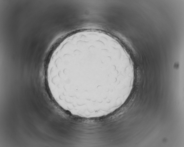 X0000116681408201001251250