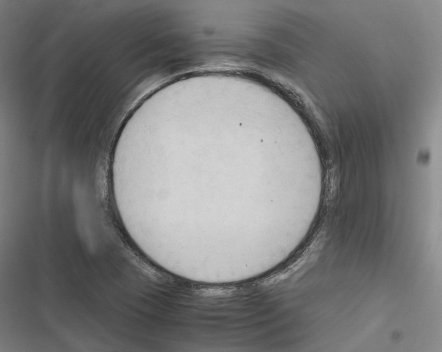 X0000116681409201001251250