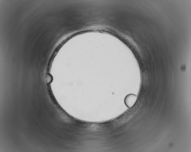 X0000116681412201001251250