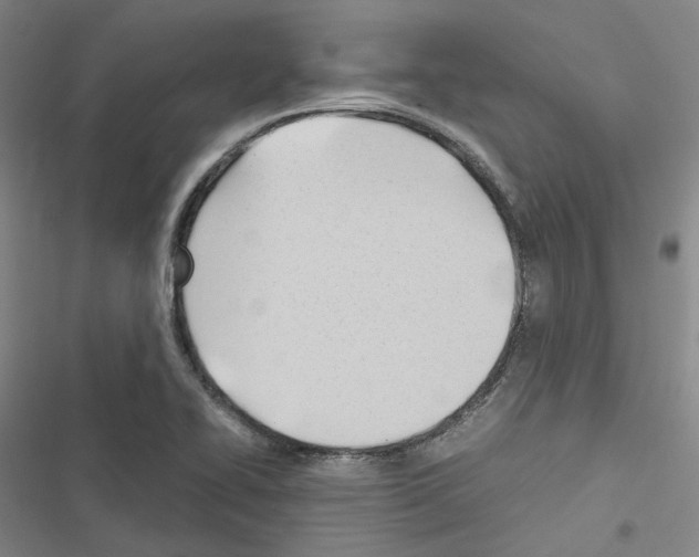 X0000116681414201001251250