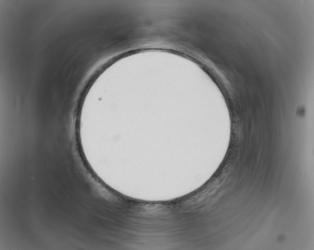 X0000116681416201001251250