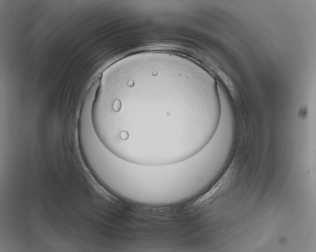 X0000116681417201001251250