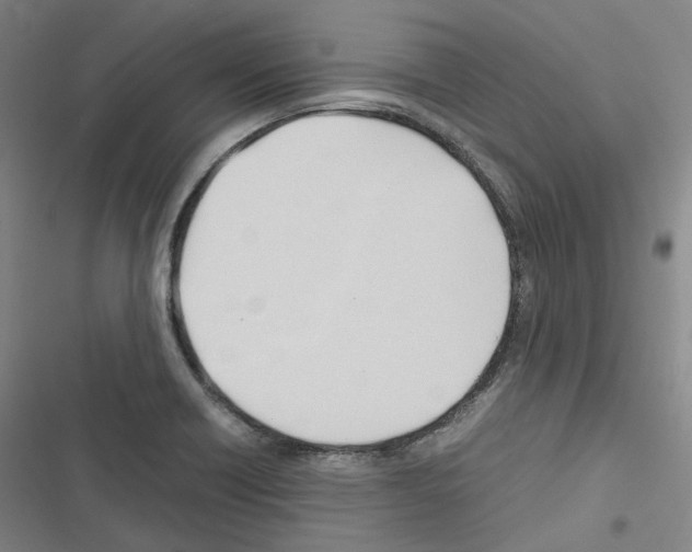 X0000116681418201001251250