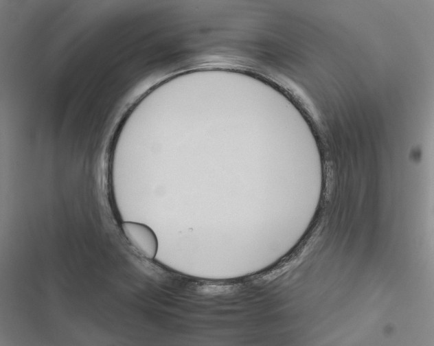 X0000116681419201001251250