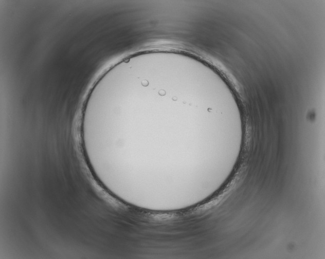 X0000116681421201001251250