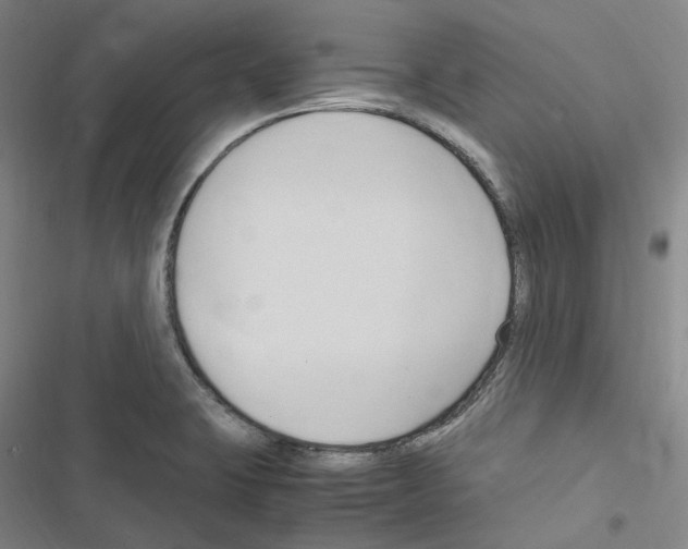 X0000116681423201001251250