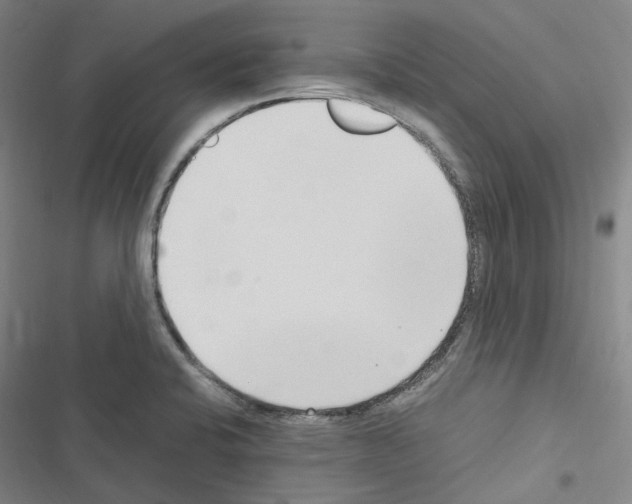 X0000116681424201001251250