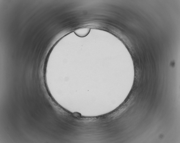 X0000116681426201001251250