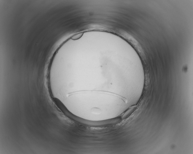 X0000116681427201001251250