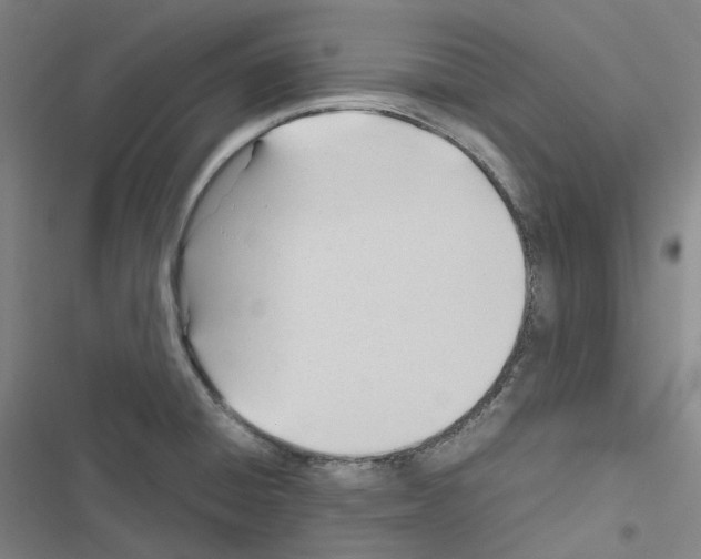 X0000116681428201001251250