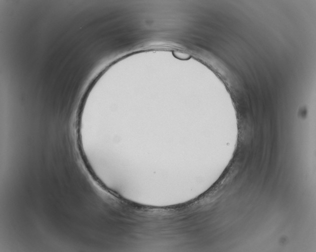 X0000116681430201001251250