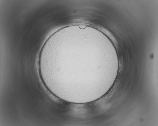 X0000116681431201001251250