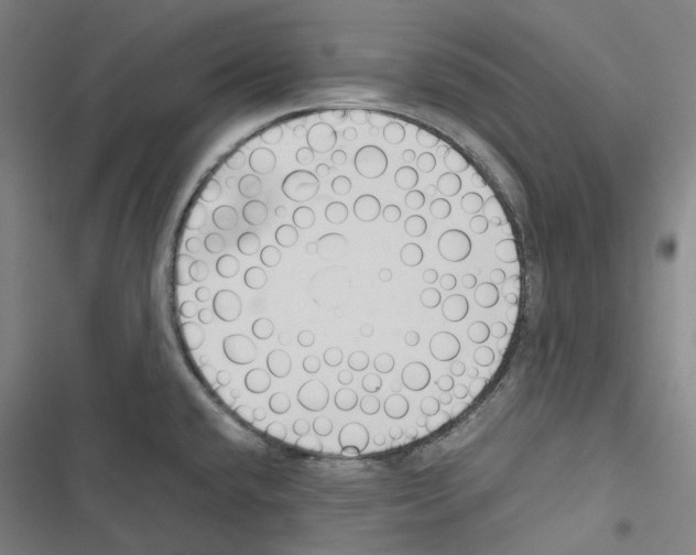 X0000116681432201001251250