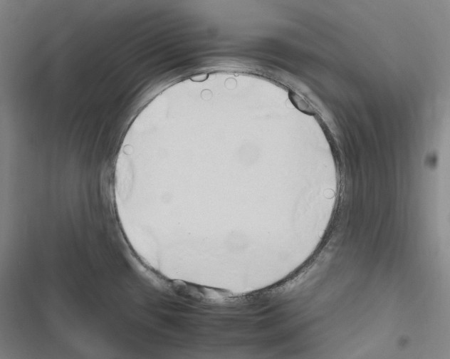 X0000116681433201001251250