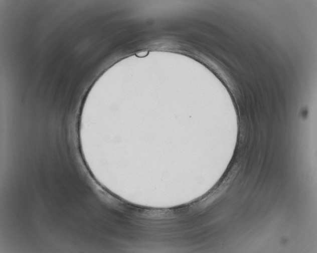 X0000116681434201001251250